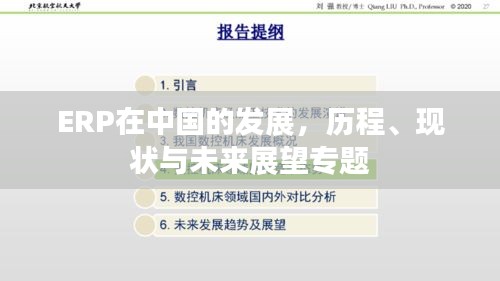 ERP在中国的发展，历程、现状与未来展望专题