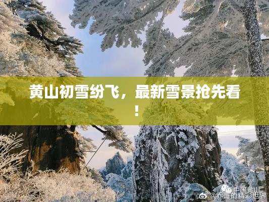 黄山初雪纷飞，最新雪景抢先看！
