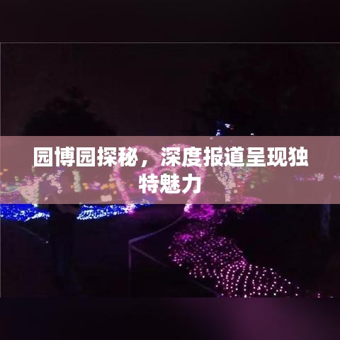 园博园探秘，深度报道呈现独特魅力