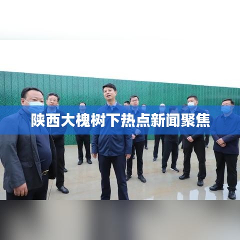陕西大槐树下热点新闻聚焦