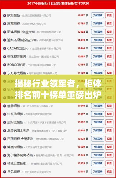 揭秘行业领军者，柜体排名前十榜单重磅出炉！