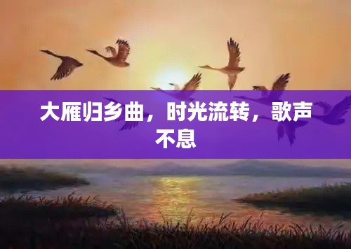 大雁归乡曲，时光流转，歌声不息