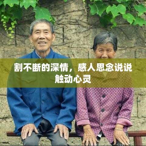 割不断的深情，感人思念说说触动心灵