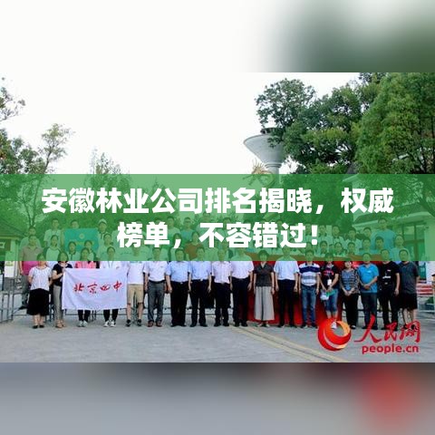 安徽林业公司排名揭晓，权威榜单，不容错过！