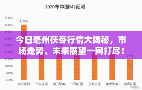 今日毫州茯苓行情大揭秘，市场走势、未来展望一网打尽！