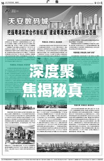 深度聚焦揭秘真相，文字版深度报道小标题集锦