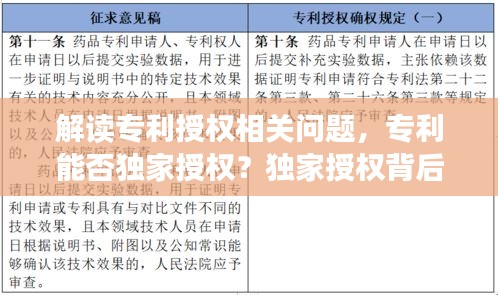 解读专利授权相关问题，专利能否独家授权？独家授权背后的真相揭秘！