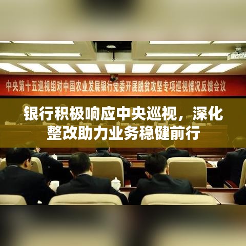 银行积极响应中央巡视，深化整改助力业务稳健前行