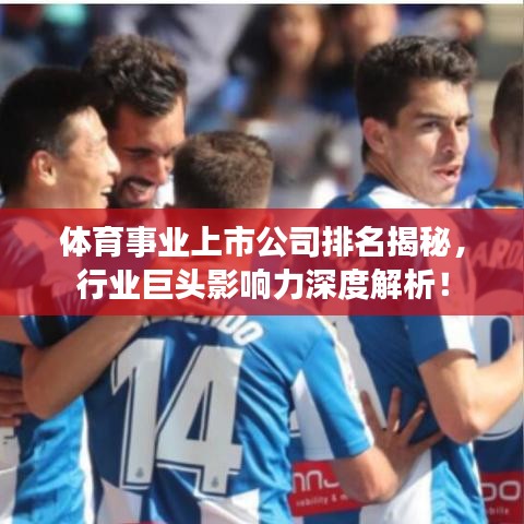 体育事业上市公司排名揭秘，行业巨头影响力深度解析！