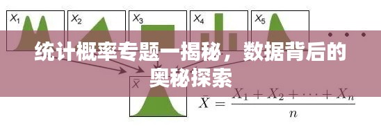 统计概率专题一揭秘，数据背后的奥秘探索