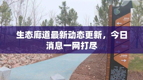 生态廊道最新动态更新，今日消息一网打尽