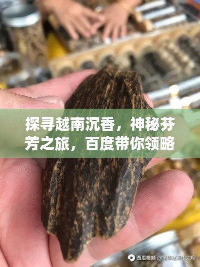 探寻越南沉香，神秘芬芳之旅，百度带你领略魅力无限