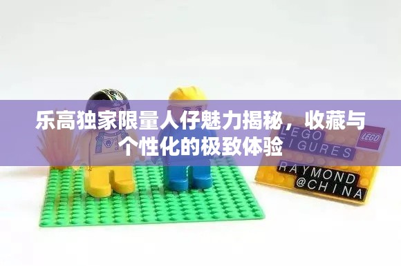 乐高独家限量人仔魅力揭秘，收藏与个性化的极致体验