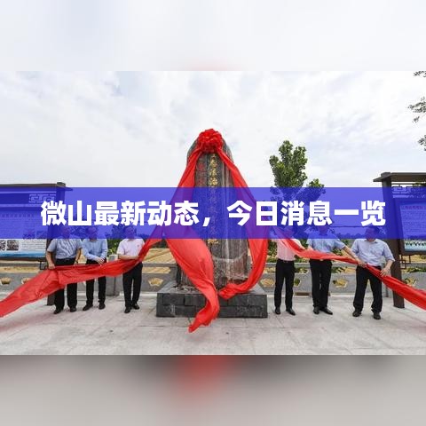 微山最新动态，今日消息一览