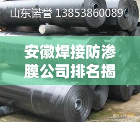 安徽焊接防渗膜公司排名揭晓，专业优质企业榜单呈现！