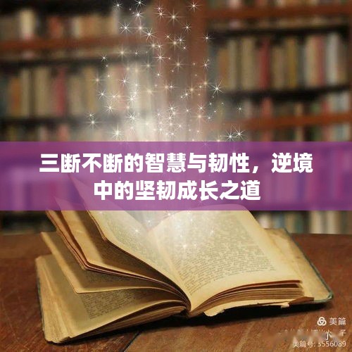 三断不断的智慧与韧性，逆境中的坚韧成长之道