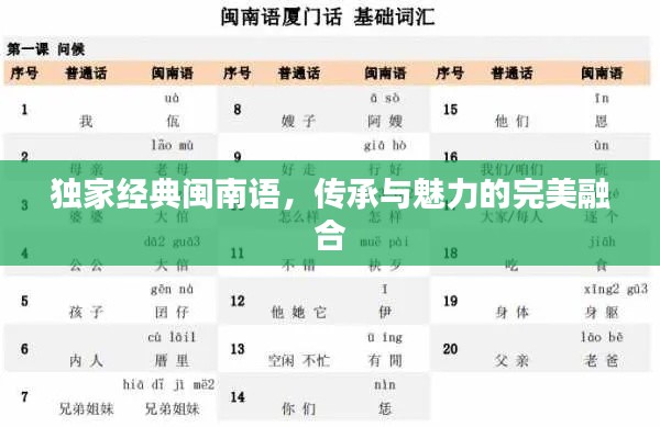 独家经典闽南语，传承与魅力的完美融合