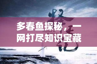 联系我们 第46页