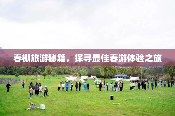 春棚旅游秘籍，探寻最佳春游体验之旅