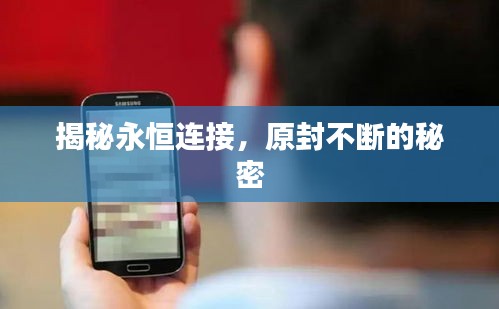 揭秘永恒连接，原封不断的秘密