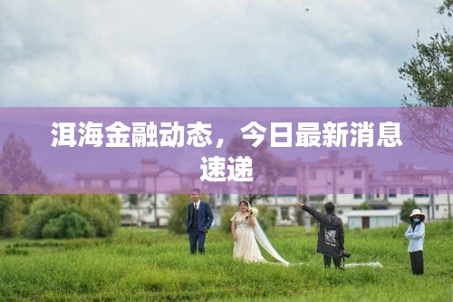 洱海金融动态，今日最新消息速递