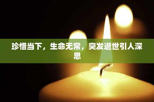 珍惜当下，生命无常，突发逝世引人深思