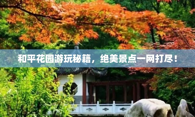 和平花园游玩秘籍，绝美景点一网打尽！