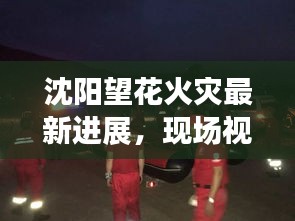 沈阳望花火灾最新进展，现场视频曝光，救援行动全力展开