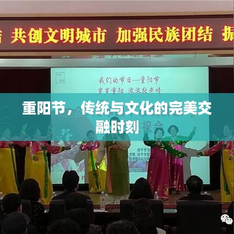 重阳节，传统与文化的完美交融时刻