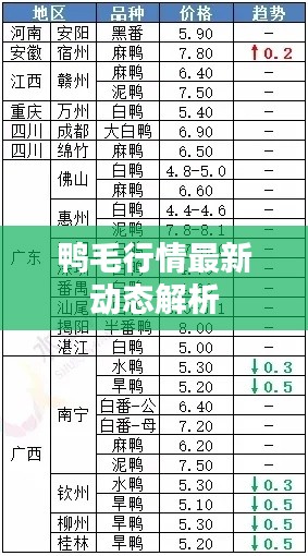 鸭毛行情最新动态解析