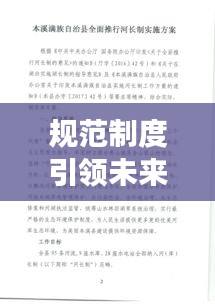 规范制度引领未来，长制工作策略与实践探索