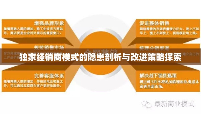 独家经销商模式的隐患剖析与改进策略探索