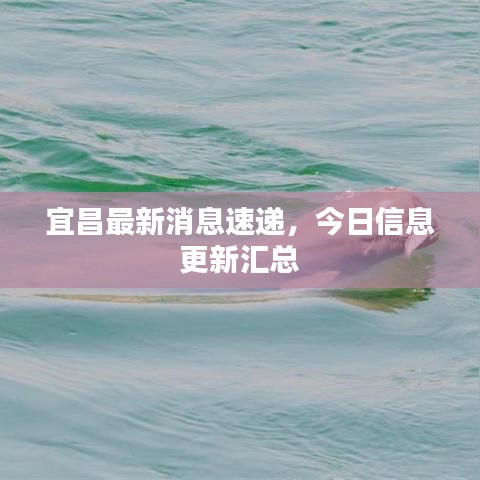 宜昌最新消息速递，今日信息更新汇总