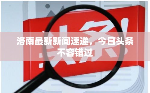 洛南最新新闻速递，今日头条不容错过