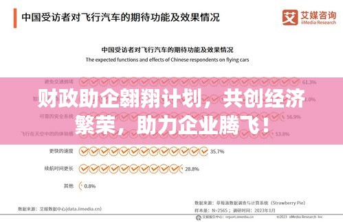 财政助企翱翔计划，共创经济繁荣，助力企业腾飞！