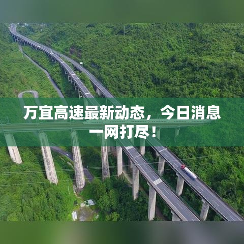 万宜高速最新动态，今日消息一网打尽！