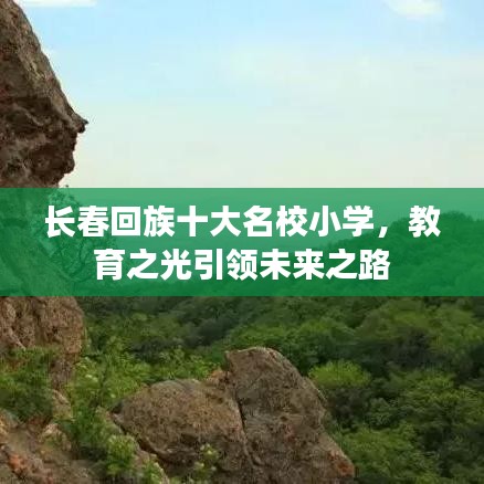 长春回族十大名校小学，教育之光引领未来之路