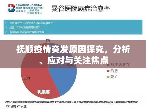 抚顺疫情突发原因探究，分析、应对与关注焦点
