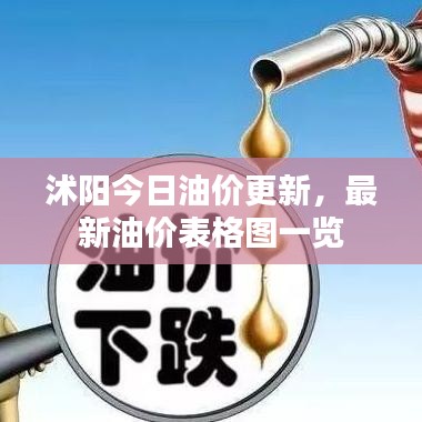 沭阳今日油价更新，最新油价表格图一览