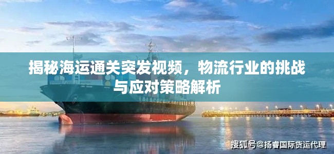 揭秘海运通关突发视频，物流行业的挑战与应对策略解析