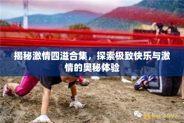 揭秘激情四溢合集，探索极致快乐与激情的奥秘体验