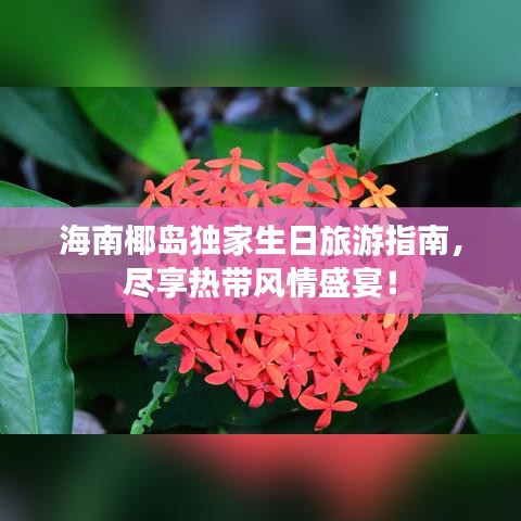 海南椰岛独家生日旅游指南，尽享热带风情盛宴！