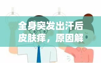 全身突发出汗后皮肤痒，原因解析及应对小妙招