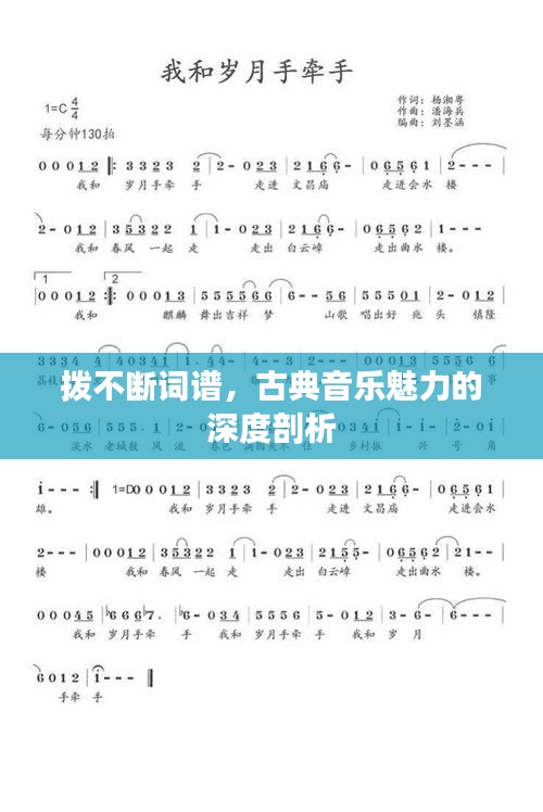 拨不断词谱，古典音乐魅力的深度剖析