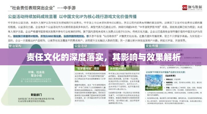 责任文化的深度落实，其影响与效果解析