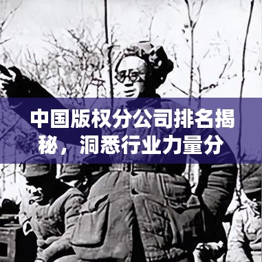 中国版权分公司排名揭秘，洞悉行业力量分布榜单！
