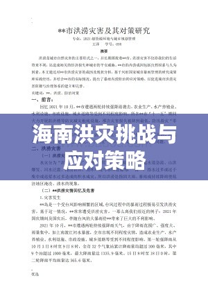 海南洪灾挑战与应对策略
