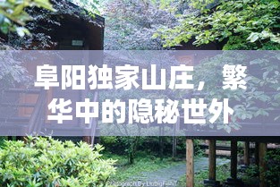 阜阳独家山庄，繁华中的隐秘世外桃源