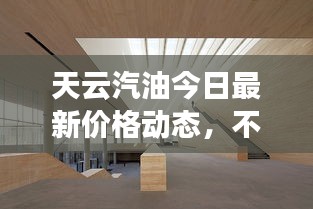 天云汽油今日最新价格动态，不容错过！
