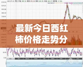 最新今日西红柿价格走势分析，市场行情解析